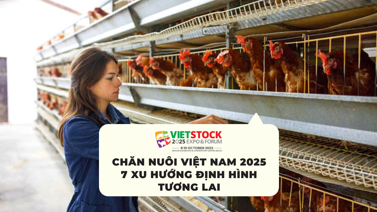 Chăn Nuôi Việt Nam 2025 7 Xu Hướng Định Hình Tương Lai